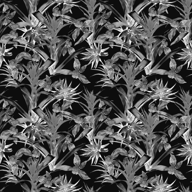 古兹曼花与芦荟和热带植物无缝图案。图片下载