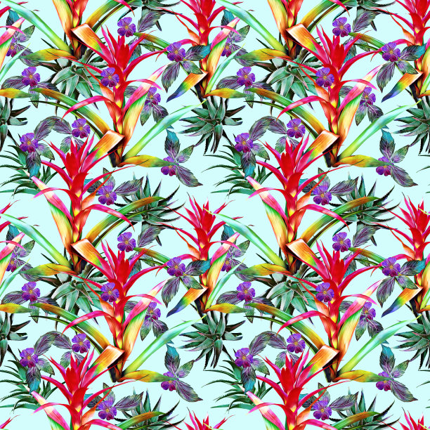 古兹曼花与芦荟和热带植物无缝图案。图片下载