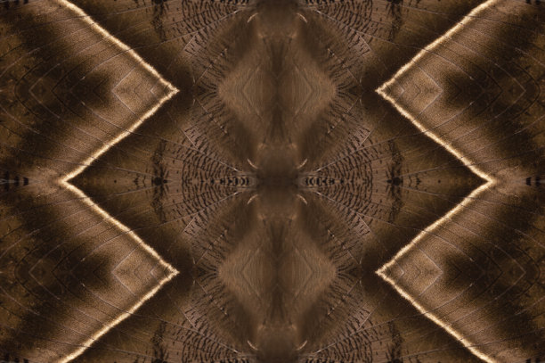 无缝蝴蝶翅膀背景图像图片下载