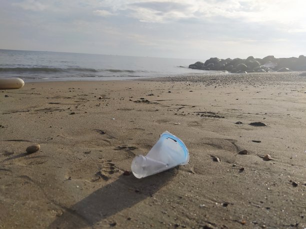 海边或海边的垃圾图片下载