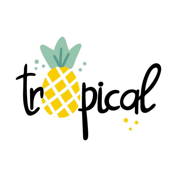 热带夏季菠萝刻字。手绘文字水果剪影，夏季海报，明亮的假期明信片夏季贴纸涂鸦卡通孤立插图印刷在t恤和包图片下载