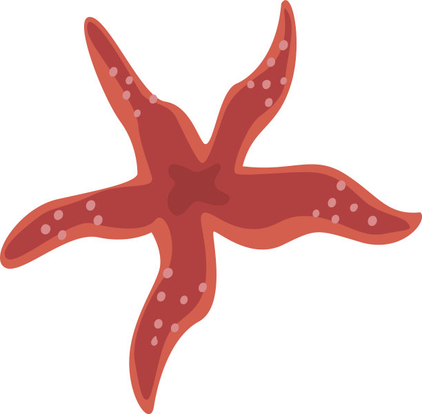 红色海星海洋生命元素海洋或海洋图片下载