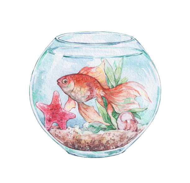 带着一些热带装饰的鱼缸里的金鱼图片下载