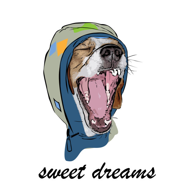 兜帽里打哈欠的狗图片下载