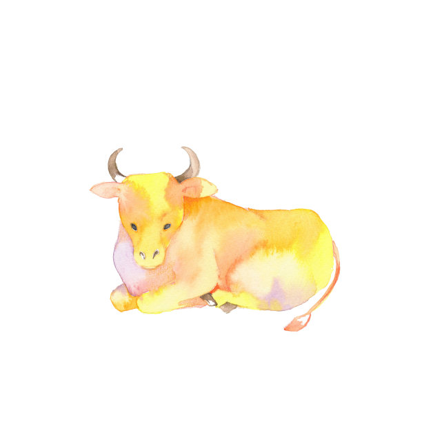 躺在牛图片下载