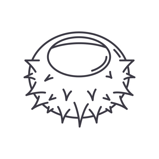 海胆图标，线性孤立的插图，细线矢量，网页设计标志，轮廓概念符号与可编辑笔画在白色背景。图片下载