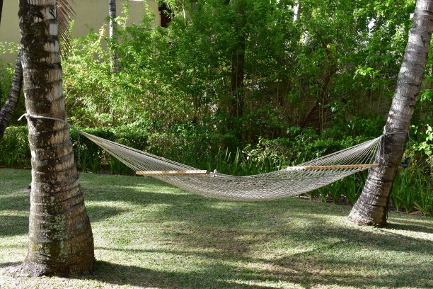 两棵棕榈树之间的吊床，放松的图标。图片下载