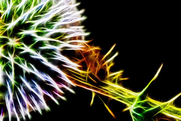 霓虹蝴蝶，3d超现实插画。分形的抽象结构图片下载