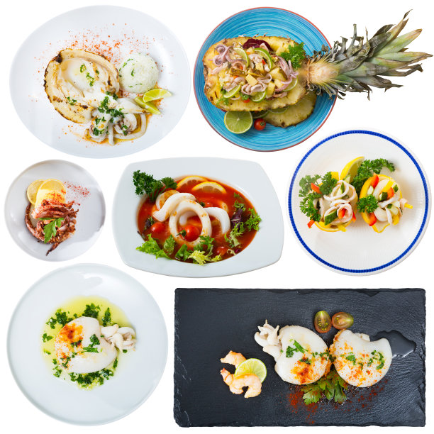 乌贼和鱿鱼的拼贴画图片下载