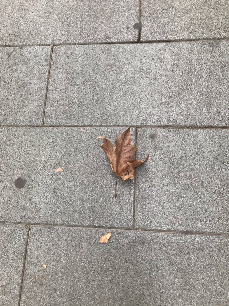 标志性的全球社区图片下载