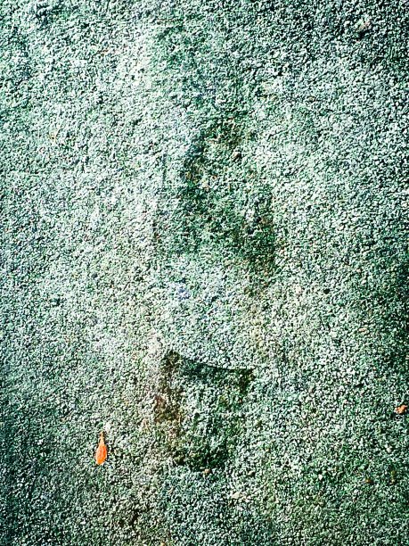 冻结沥青上的鞋印图片下载