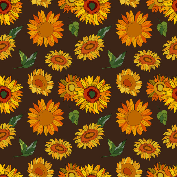 向日葵的叶子图片下载