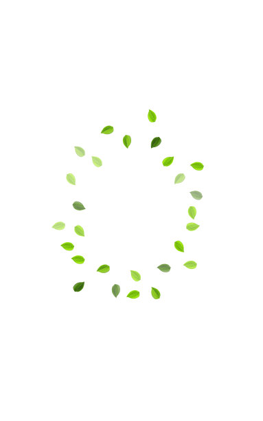 绿叶风册模糊叶图片下载