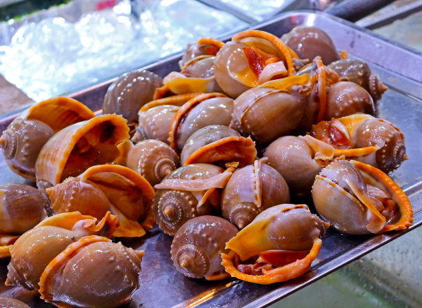 富国夜市的街头小贩柜台上的新鲜贝壳。荧光灯下的夜景照片图片下载