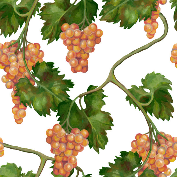无缝模式。用丙烯酸颜料绘制的植物图。美丽的葡萄树枝。白色背景上五颜六色的粉红葡萄。风景如画的壁纸。复古风格。图片下载