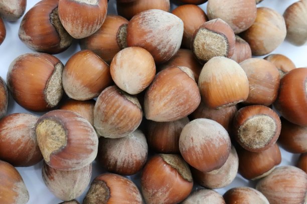 去壳坚果，收获，坚果，农产品图片下载