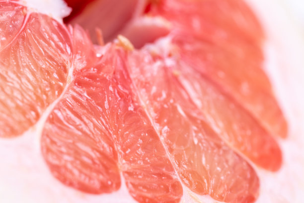 柚子的汁液囊泡和种子横切面图片下载