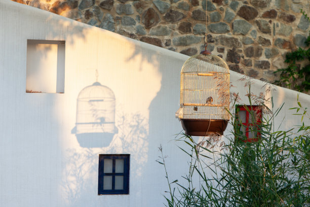 美丽的地中海风景。金鸟笼上金翅雀的影子投射在墙上，夕阳西下。度假区宅院。旅游、休闲、休闲理念图片下载