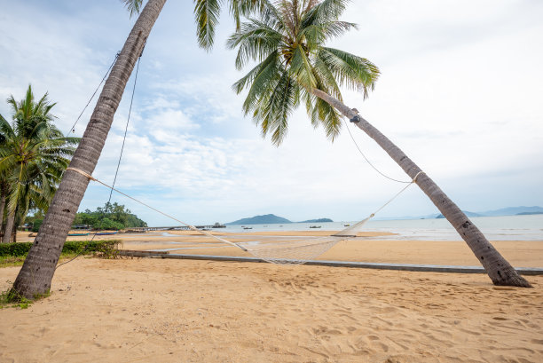 热带岛屿上两棵椰子树之间的吊床图片下载