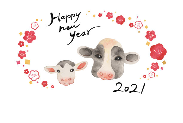 2021年的新年贺卡。牛父母和孩子，特写一张脸。水彩画。梅花。白色背景(带有新年祝福语。底部有一个空白。)明信片模板图片下载