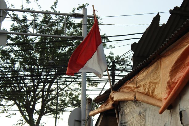 印尼国旗和电线图片下载