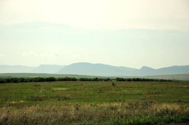 一望无际的草原，有小灌木和绿草，四周群山环绕。图片下载