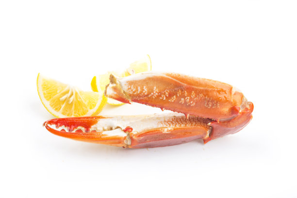 煮蟹爪孤立在白色背景图片下载