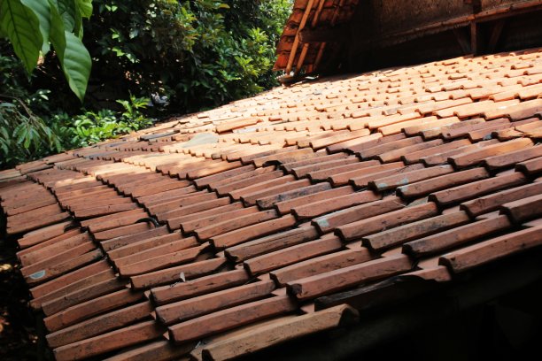 印尼的传统屋顶图片下载