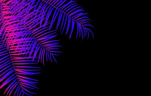 热带棕榈叶背景。夏季热带叶。异国情调的夏威夷丛林，夏季派对设计时髦的海报，传单，横幅，卡片，封面，小册子。霓虹灯。图片下载
