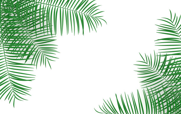 热带棕榈叶背景。夏季热带叶。异国情调的夏威夷丛林，夏季派对设计时髦的海报，传单，横幅，卡片，封面，小册子。3 d渲染。图片下载