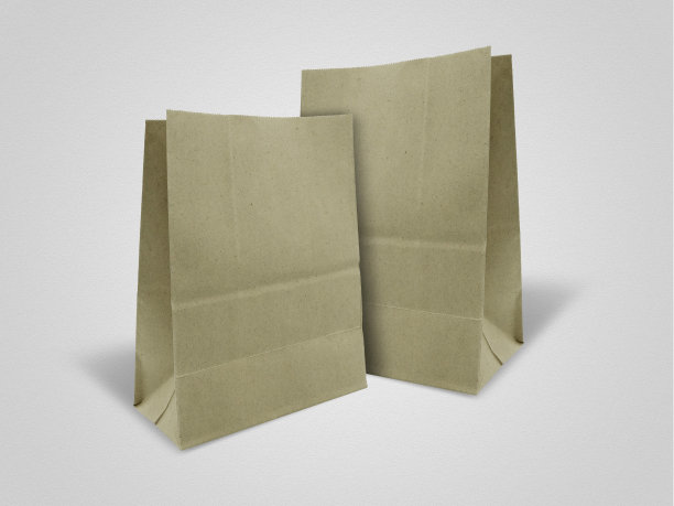 纸袋照片模型设计图片下载