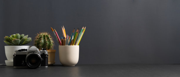 家庭办公室内的写字台，有复印空间、相机、文具和花盆图片下载