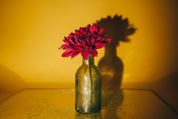 小玻璃瓶，粉红色的花，从侧面照亮了一个黄色的背景。图片下载