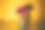 小玻璃瓶，粉红色的花，从侧面照亮了一个黄色的背景。图片下载