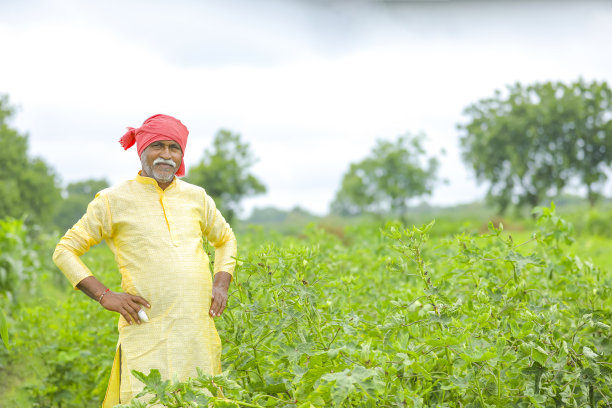 印度/亚洲农民站在农田里图片下载