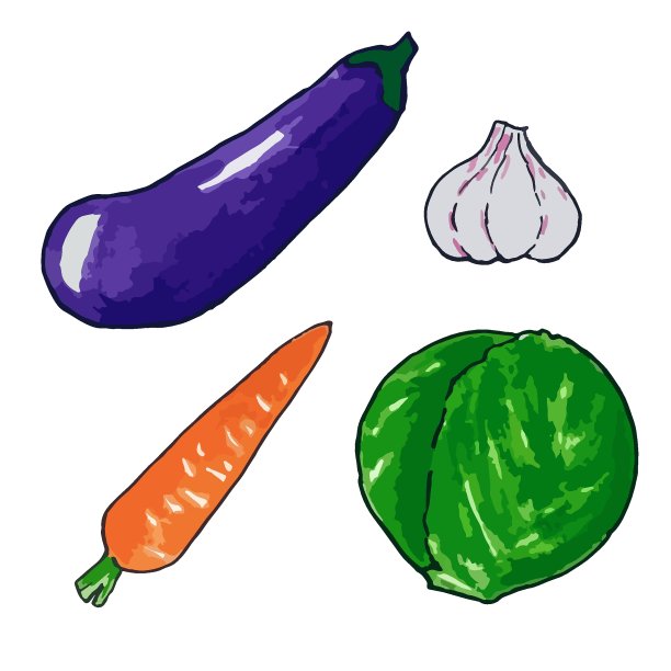 一套新鲜的生蔬菜。茄子，胡萝卜，大蒜，卷心菜。徒手画,向量。图片下载
