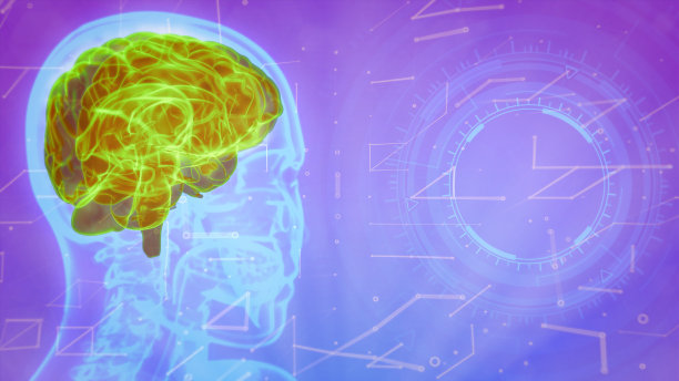医学3D插图背景- holo人类头部图像高亮的大脑和空白的右边为您的高科技图像图片下载