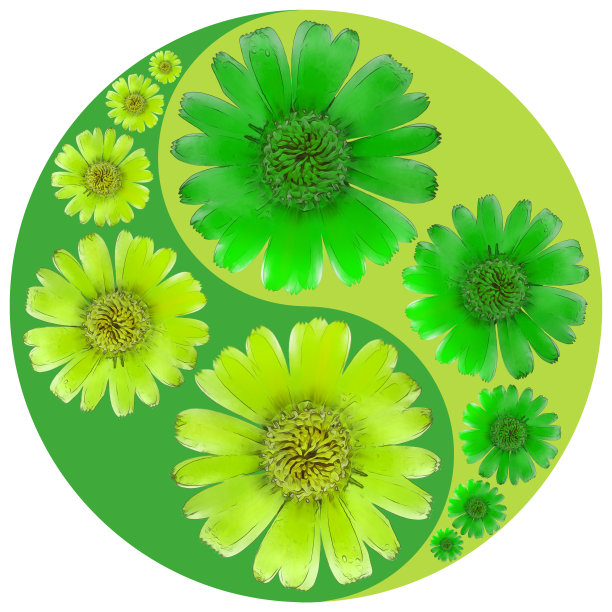 花象征阴阳。金盏花。几何图案的阴阳符号，从植物的彩色背景在东方风格。阴阳符号取自花、花瓣。曼荼罗的花卉插图。图片下载