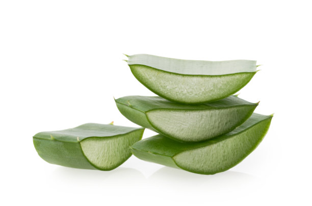 芦荟切片植物分离在白色背景图片下载