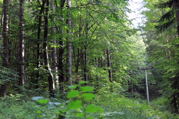 关闭了维托沙山的Dragalevsky电梯图片下载