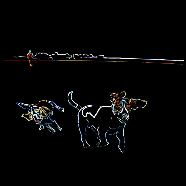 两条狗在散步，霓虹灯图片下载