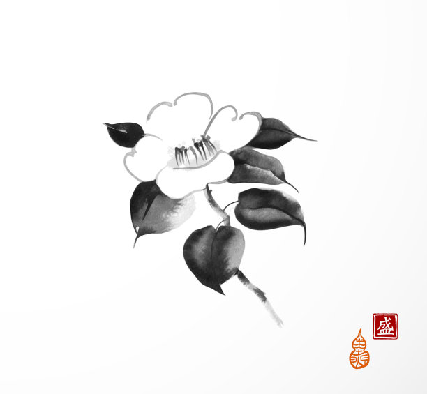 白色背景上的山茶花。传统的东方水墨画，墨画，墨画。象形文字的翻译——开花图片下载