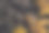 美丽的秋天森林树叶的照片，可爱的小蘑菇在枫叶上图片下载