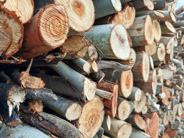 木头日志图片下载