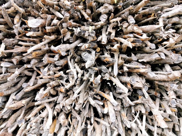 木头日志图片下载