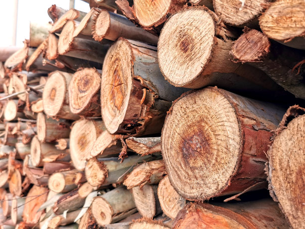 木头日志图片下载