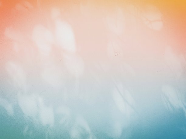 抽象的背景，树影和墙壁上的阳光。图片下载