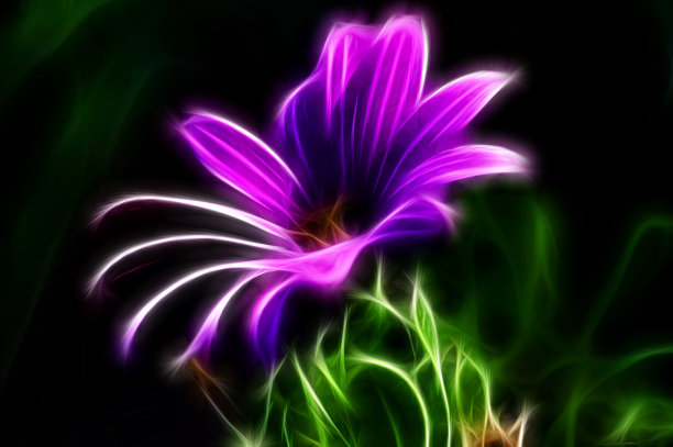 霓虹蝴蝶，3d超现实插画。分形的抽象结构图片下载