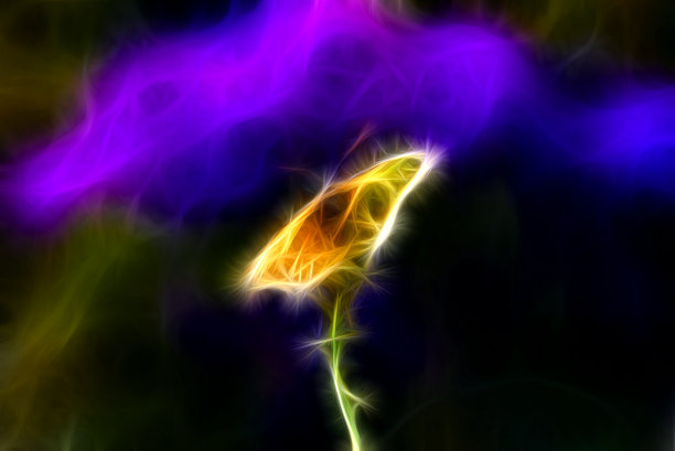 霓虹蝴蝶，3d超现实插画。分形的抽象结构图片下载