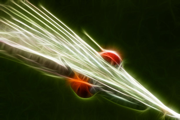 霓虹蝴蝶，3d超现实插画。分形的抽象结构图片下载